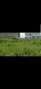IMG-20250823-WA0025.webp