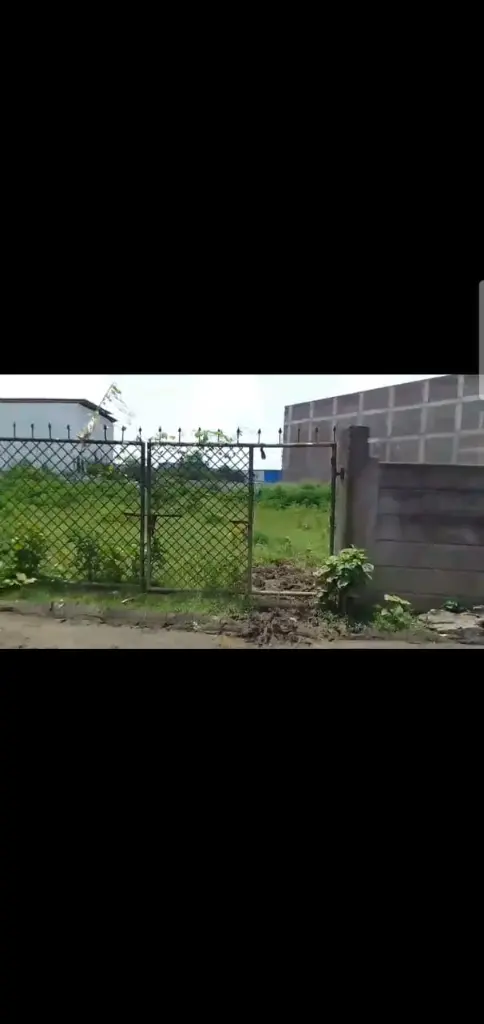 IMG-20250823-WA0024.webp